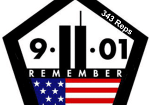 frf 9-11 graphic